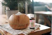 Load image into Gallery viewer, Lana (Now On Sale) Spa - Citronella Humidifiers